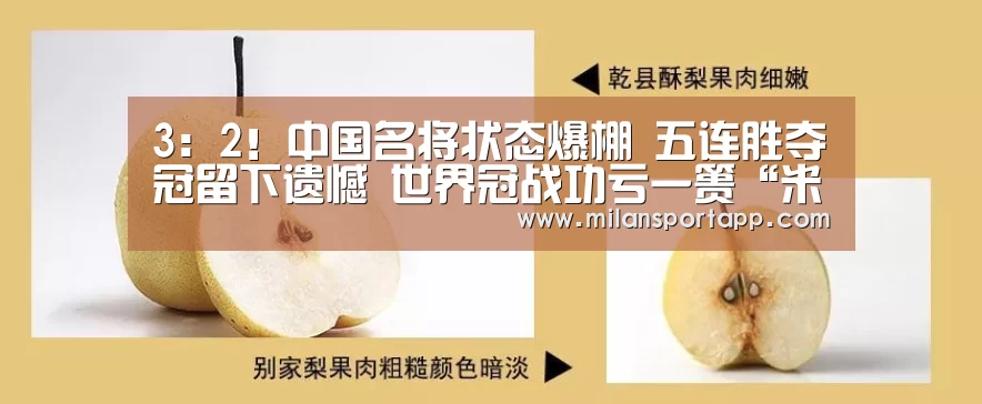 
3：2！中国名将状态爆棚 五连胜夺冠留下遗憾 世界冠战功亏