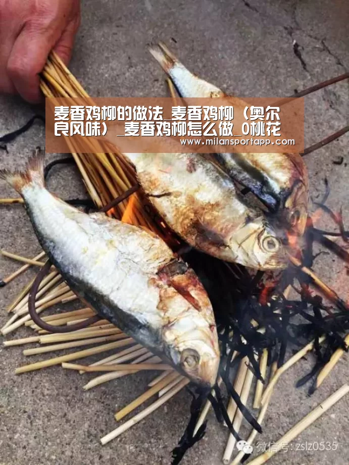 麦香鸡柳的做法_麦香鸡柳(奥尔良风味)_麦香鸡柳怎么做_0桃花潭0的菜谱:米兰体育app下载(图3) 米兰体育app网址