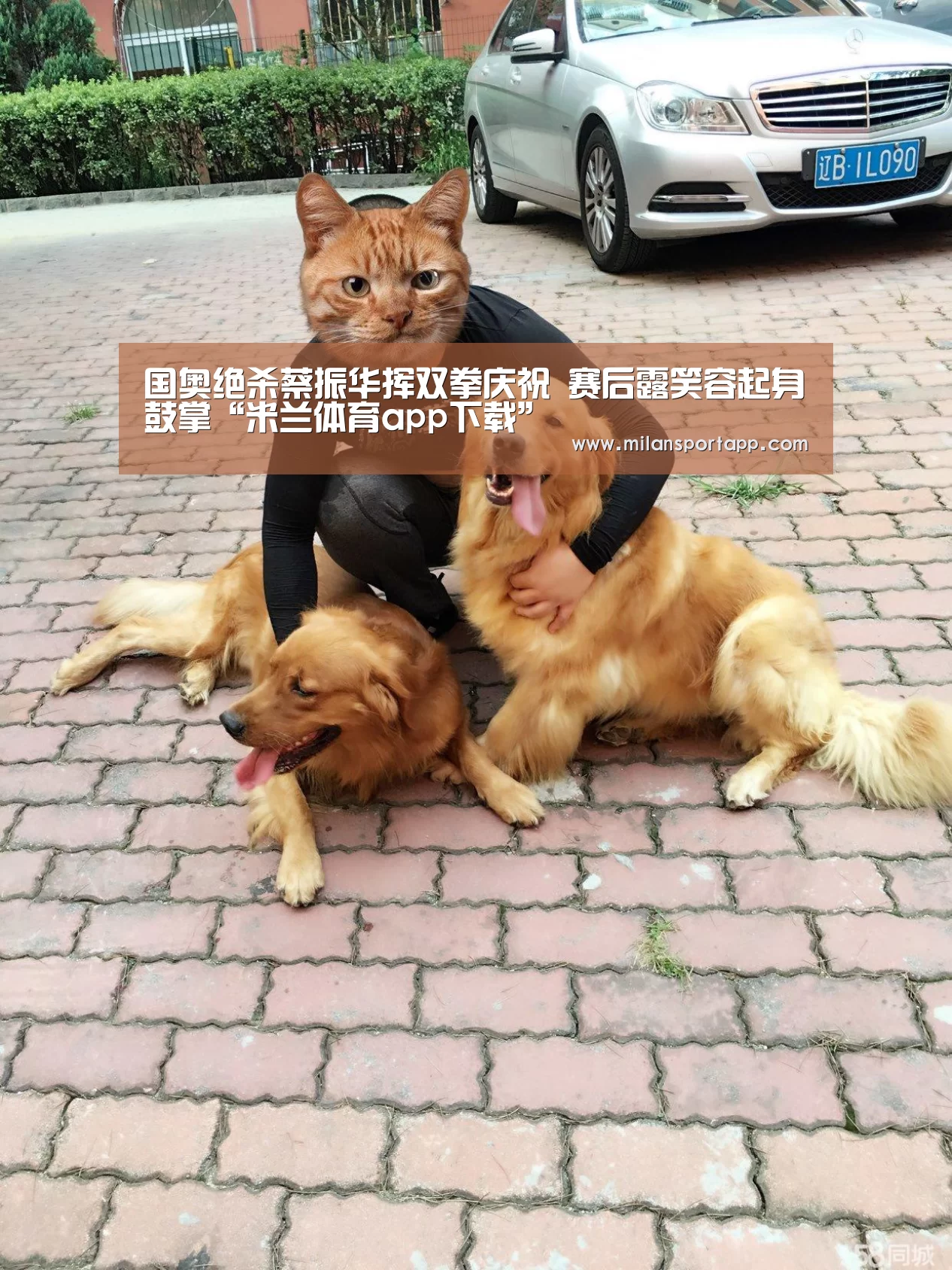 米兰体育app网址