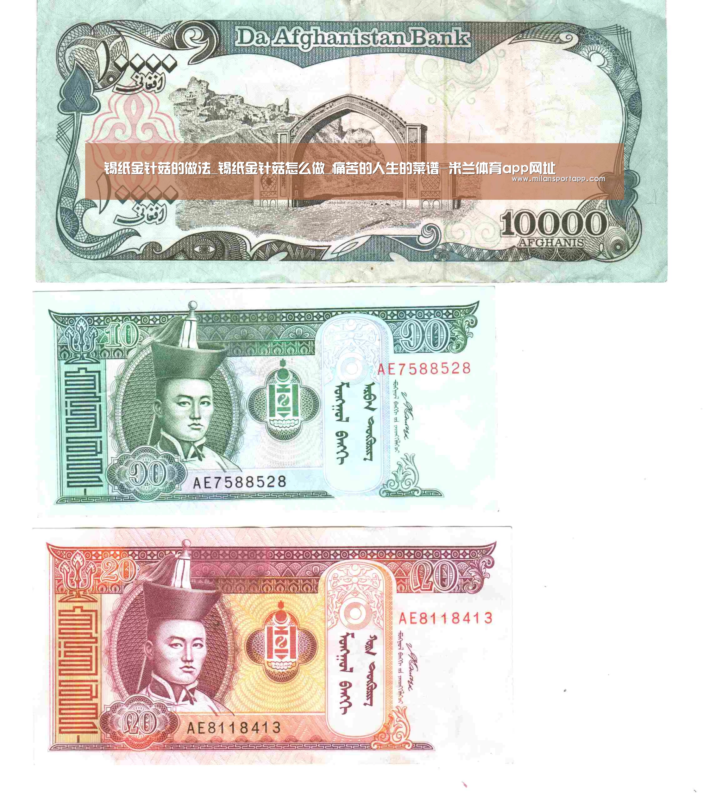 锡纸金针菇的做法_锡纸金针菇怎么做_痛苦的人生的菜谱-米兰体育app网址(图3) 米兰体育app下载