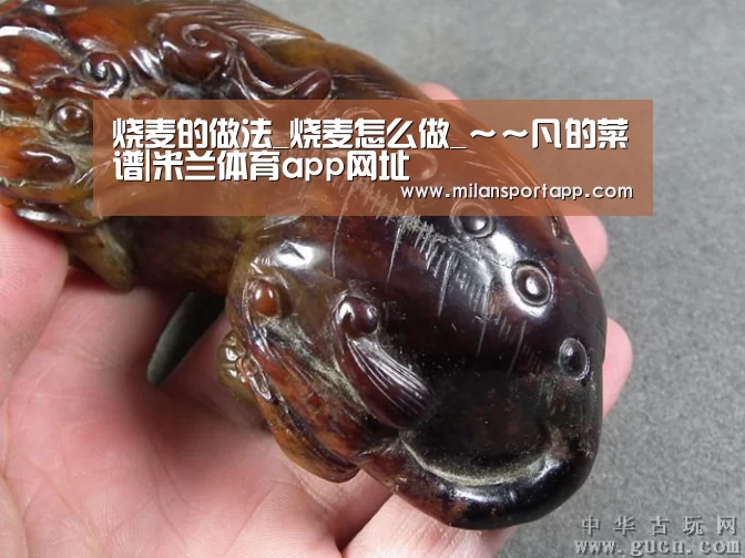 烧麦的做法_烧麦怎么做_~~凡的菜谱|米兰体育app网址(图3) 米兰体育app下载